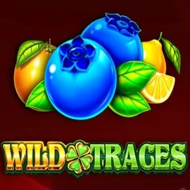 Wild Traces by Amusnet Interactive, showcased at 888-kaszino.com – game logo